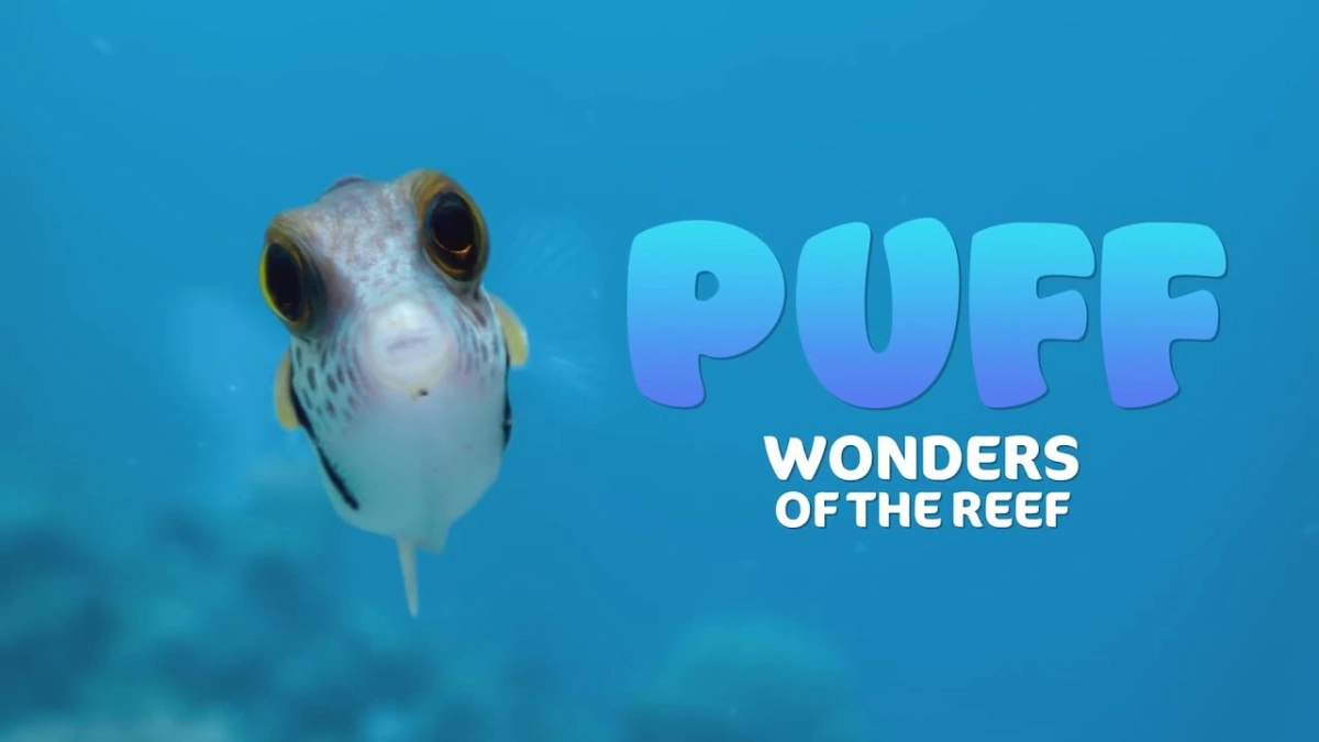 Puff: Rạn san hô kỳ diệu (Puff: Wonders of the Reef)