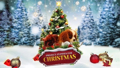 Quà Giáng Sinh Bất Ngờ (Project: Puppies for Christmas)