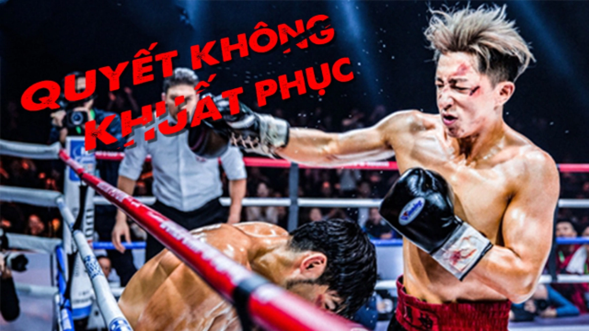 Quyết Không Khuất Phục ( Knockout)
