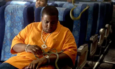 Rắn Độc Trên Không (Snakes on a Plane)