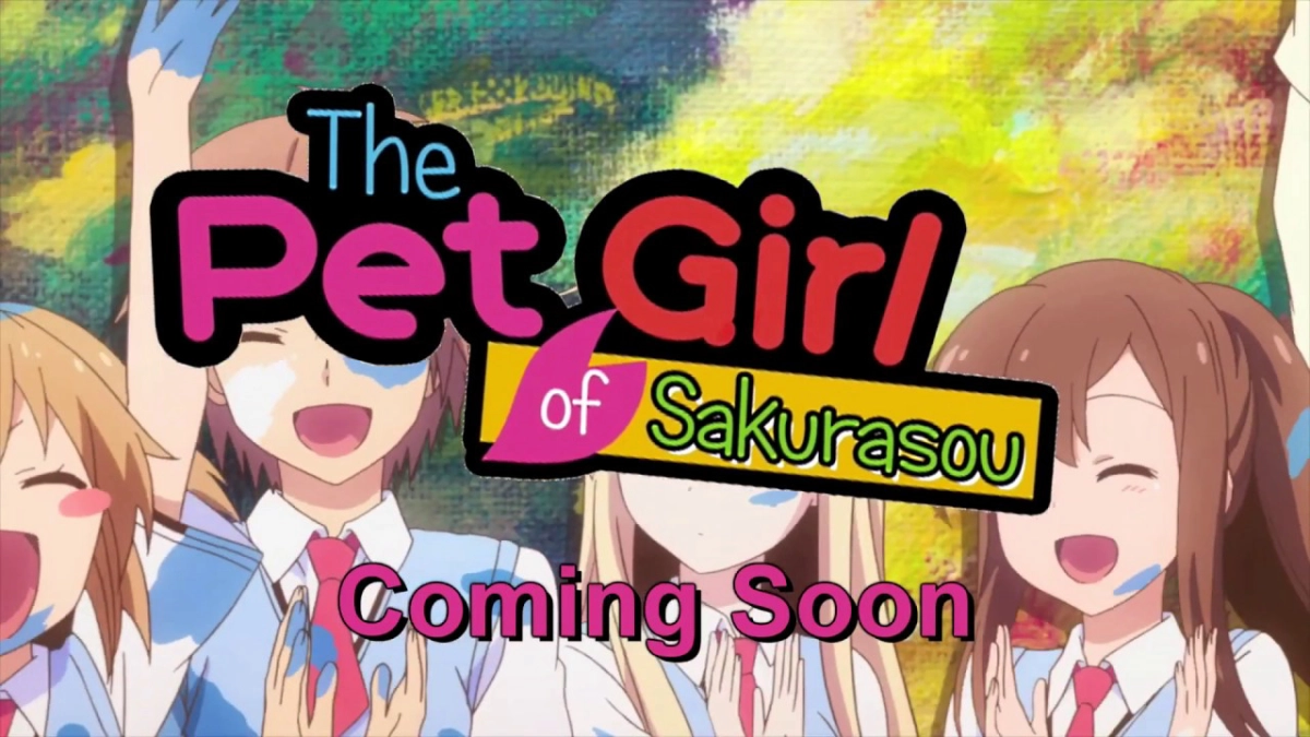 Sakurasou No Pet Na Kanojo (The Pet Girl of Sakurasou [Blu-ray])
