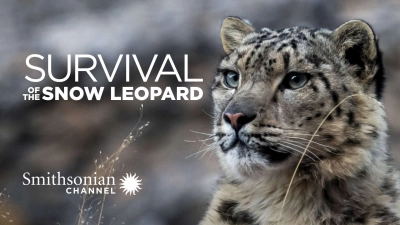 Survival Of The Snow Leopard (Survival Of The Snow Leopard)