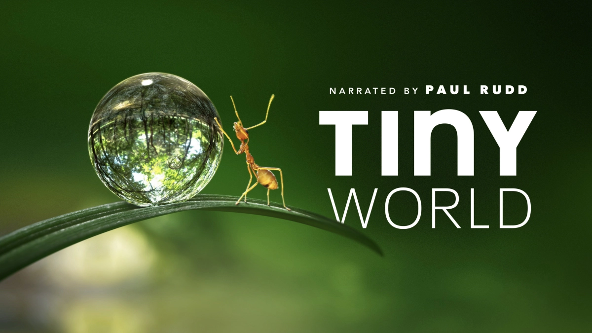 Thế Giới Siêu Nhỏ (Phần 1) (Tiny World (Season 1))