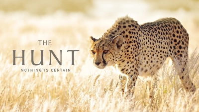 The Hunt (The Hunt)