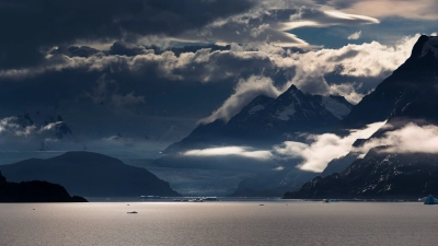 The Wild Andes (The Wild Andes)