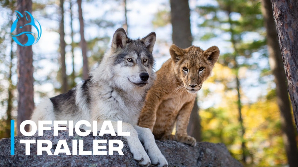 The Wolf and the Lion (The Wolf and the Lion)