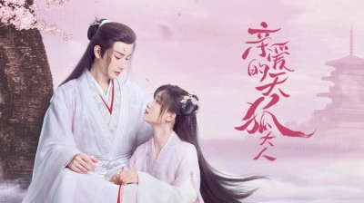 Thiên Hồ Đại Nhân Thân Mến (Dear Mr. Heavenly Fox)