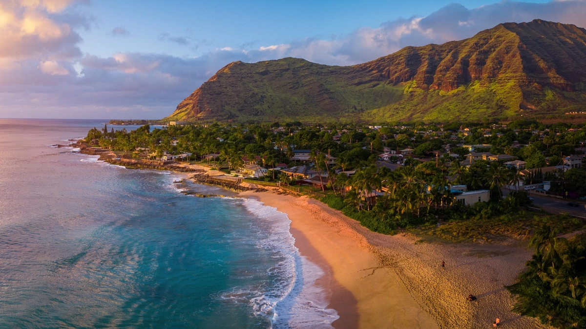 Thiên Nhiên Hoang Dã Hawaii (Wild Hawaii)
