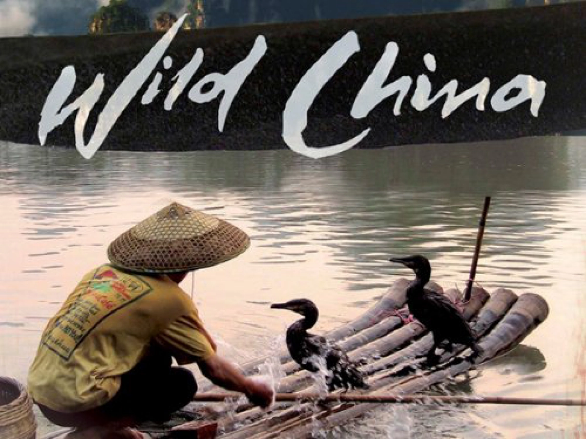 Thiên Nhiên Hoang Dã Trung Quốc (Wild China)
