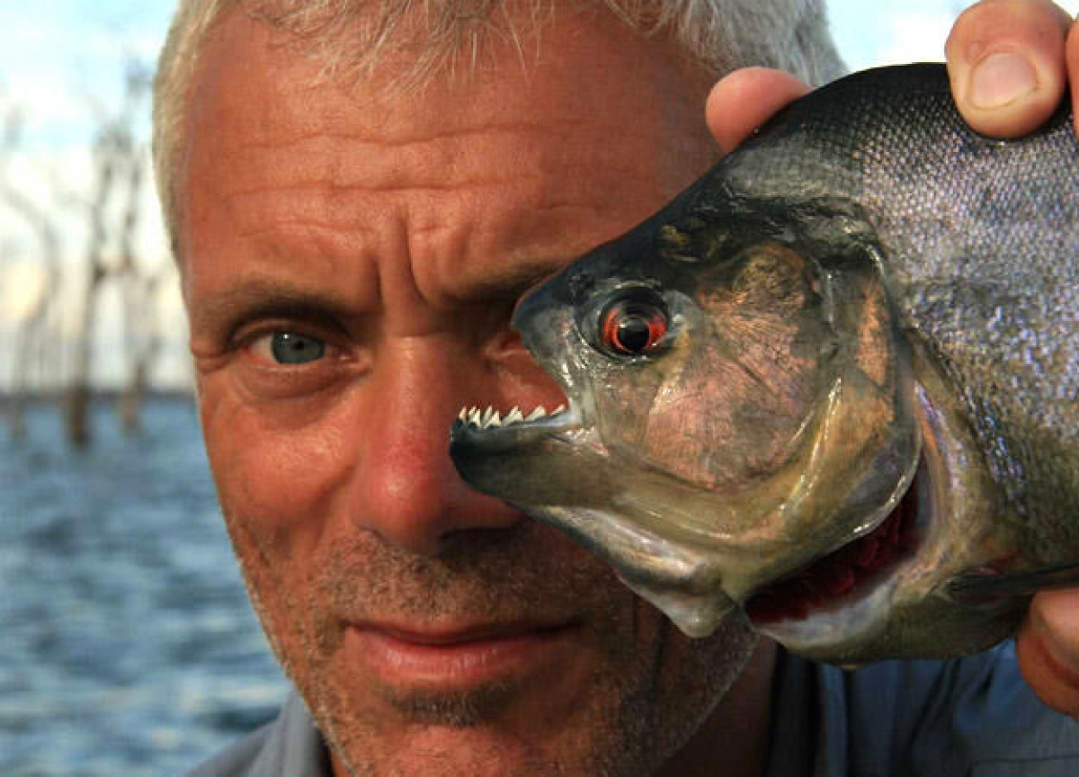 Thủy Quái (Phần 1) (River Monsters (Season 1))