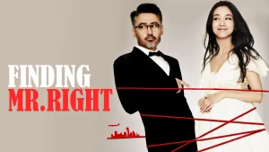 Truy tìm người hoàn hảo (Finding Mr. Right)