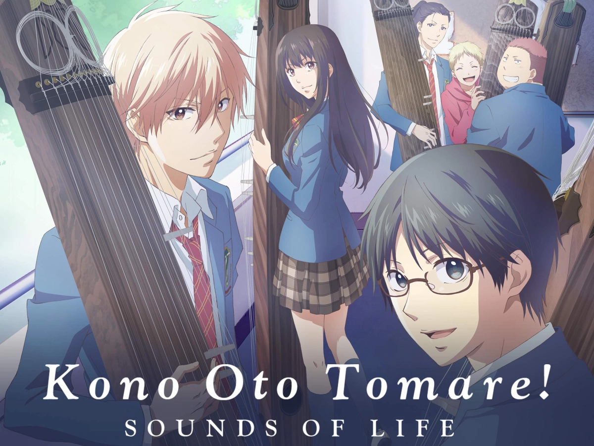 Tuổi thanh xuân bên cây đàn Koto (Phần 2) (Kono Oto Tomare! Sounds of Life (Season 2))