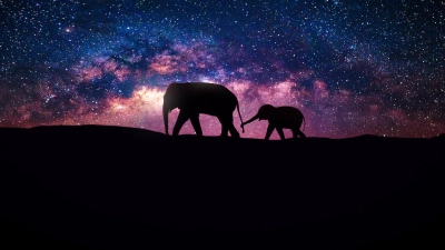 Vũ trụ (Our Universe)