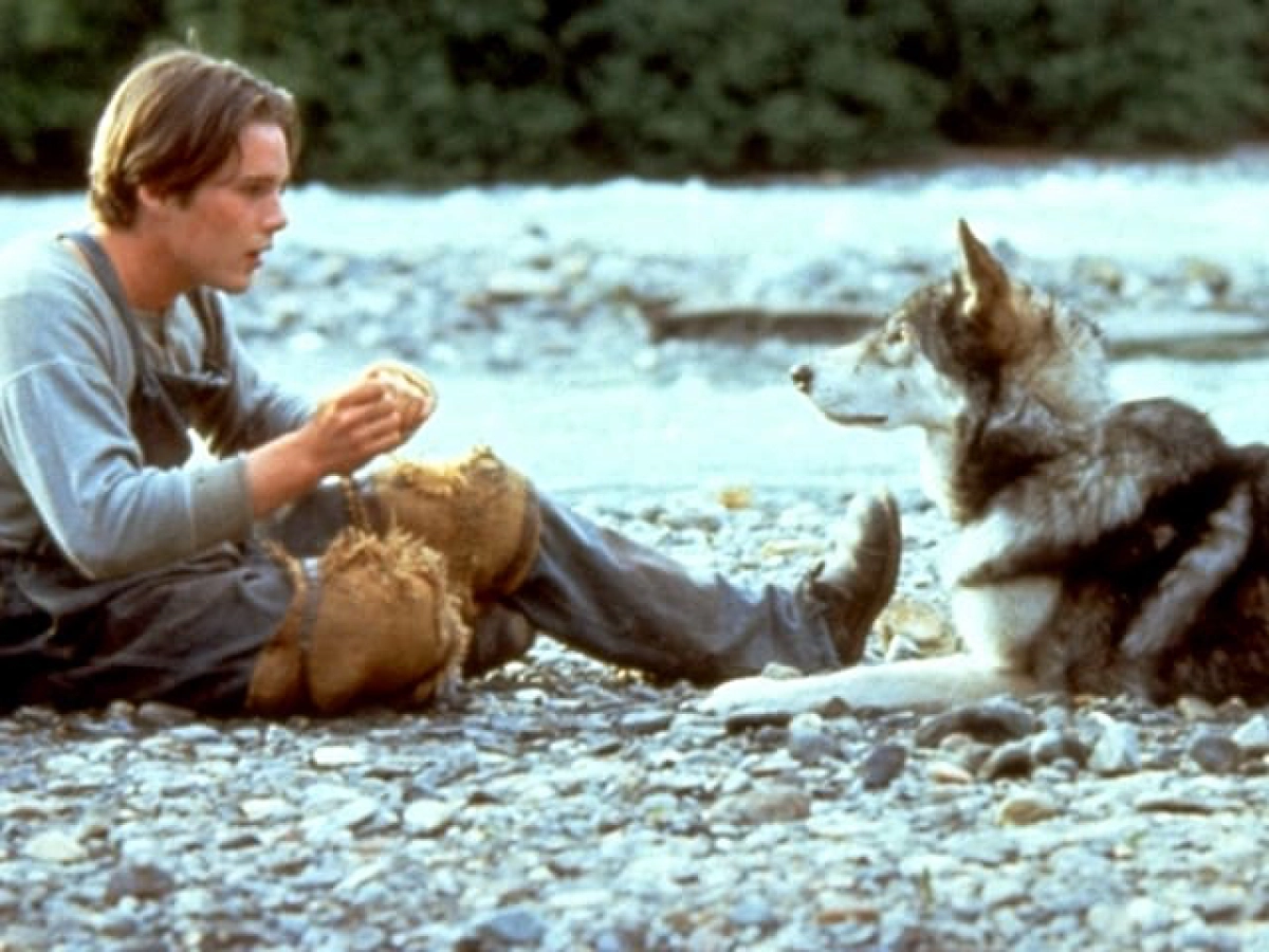 White Fang (White Fang)
