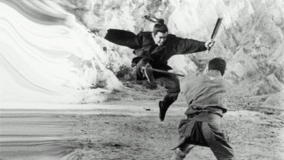 Zatoichi Meets the One-Armed Swordsman (Zatoichi Meets the One-Armed Swordsman)